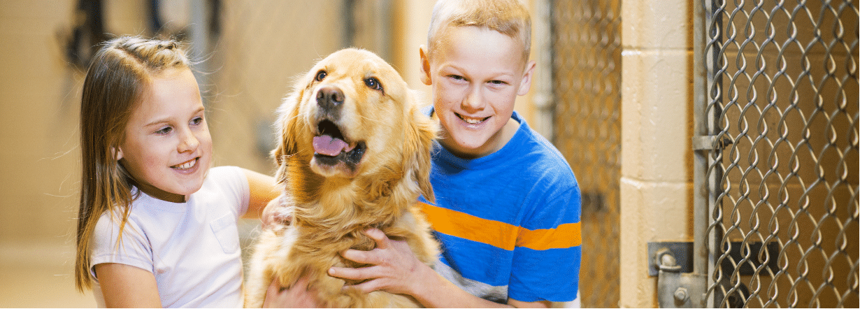 Nuzzles & Co Pet Rescue and Adoption