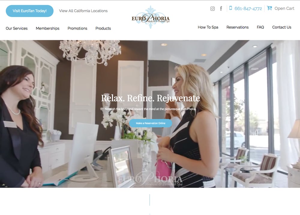 EuroPro Inc | | Advice Media Medical Spa Website Design Portfolio